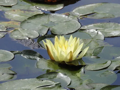 计划细节